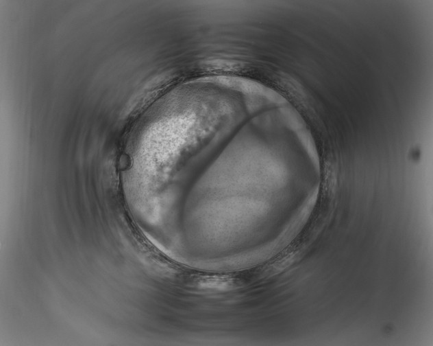 X0000115560377200911271502