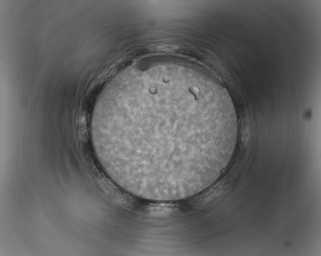 X0000115560378200911271502