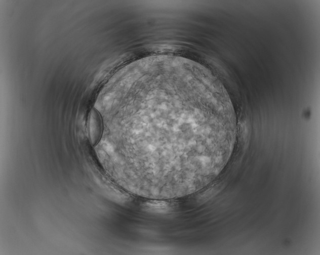 X0000115560381200911271502