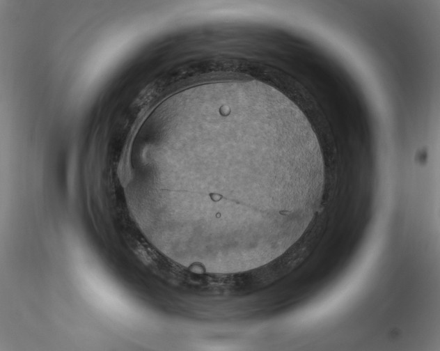 X0000115560382200911271502