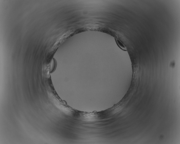 X0000115560383200911271502