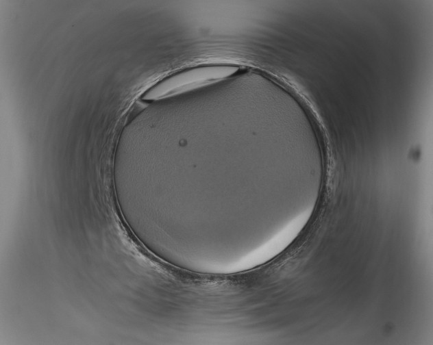 X0000115560385200911271502