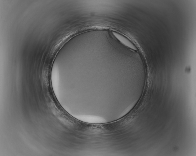 X0000115560386200911271502