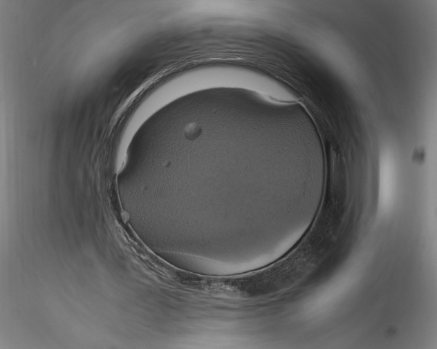 X0000115560387200911271502