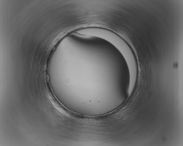 X0000115560389200911271502