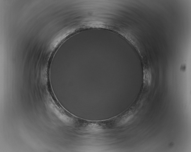 X0000115560390200911271502