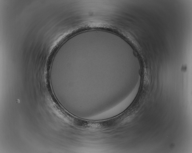 X0000115560391200911271502