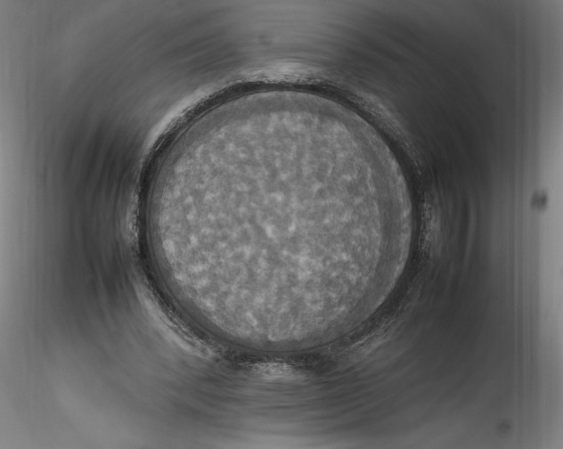 X0000115560392200911271502