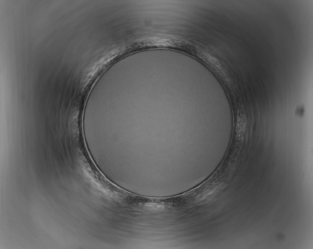 X0000115560394200911271502