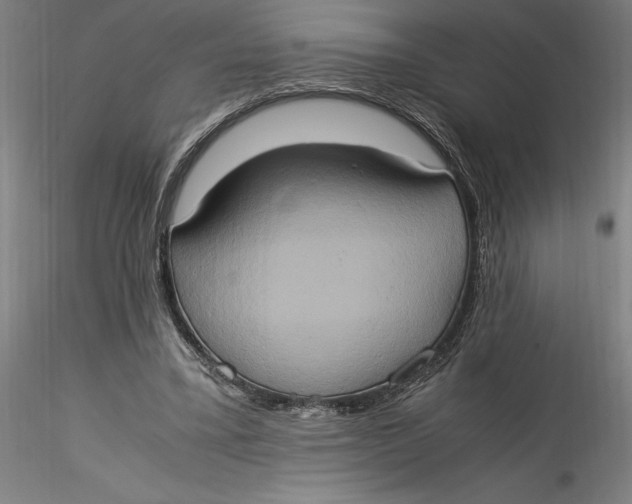 X0000115560395200911271502