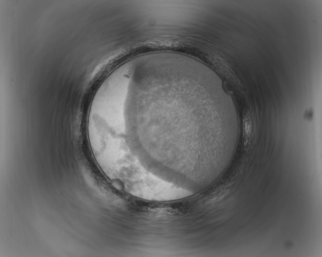 X0000115560396200911271502