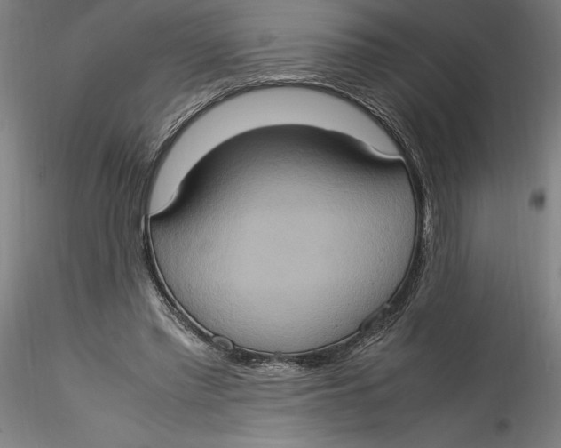 X0000115560397200911271502