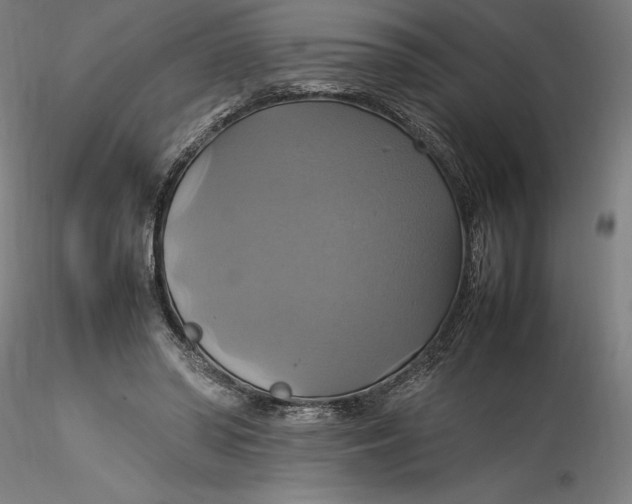 X0000115560398200911271502