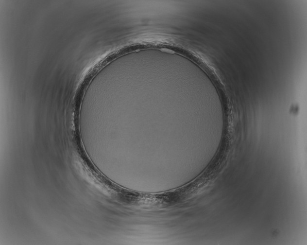 X0000115560399200911271502