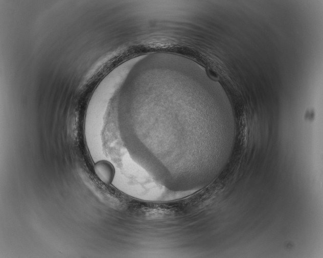 X0000115560400200911271501