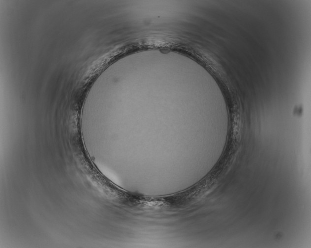 X0000115560401200911271501