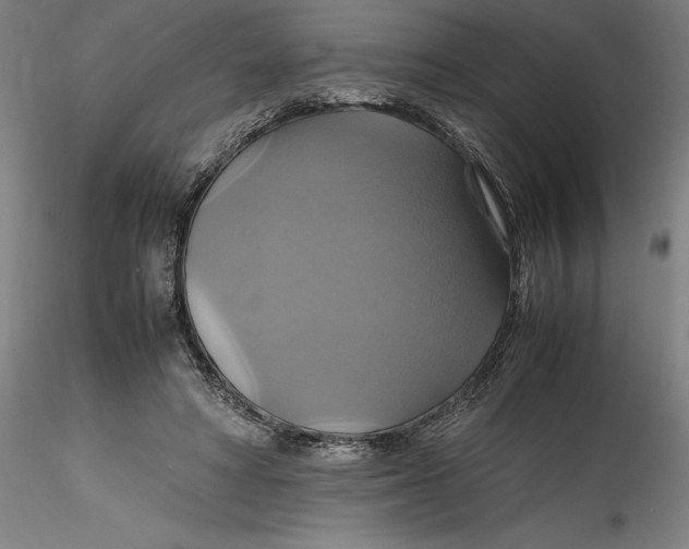 X0000115560402200911271501