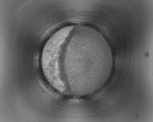 X0000115560404200911271501