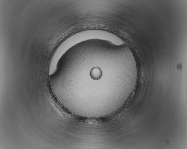 X0000115560405200911271501