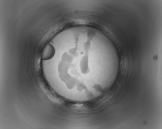 X0000115560406200911271501