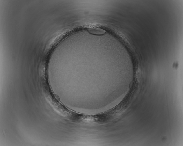 X0000115560407200911271501