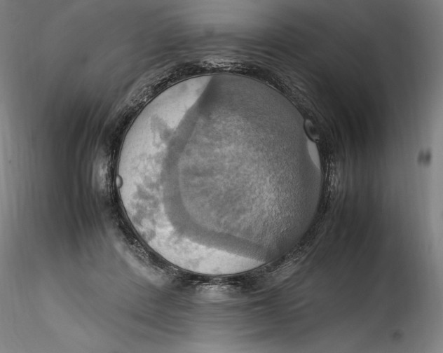 X0000115560408200911271501