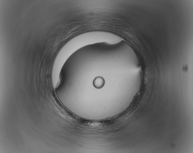 X0000115560409200911271501