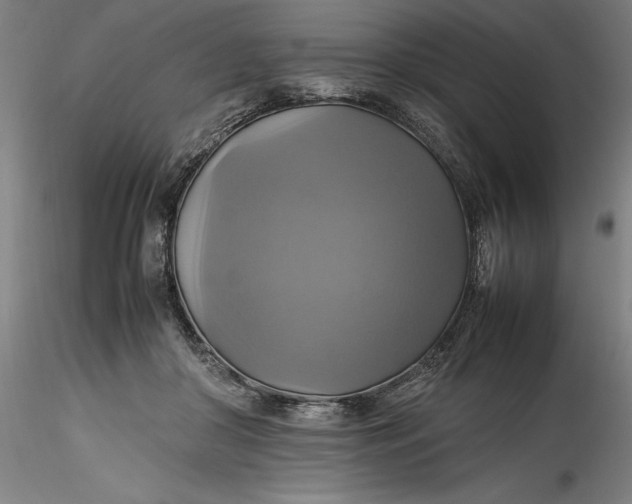 X0000115560410200911271501