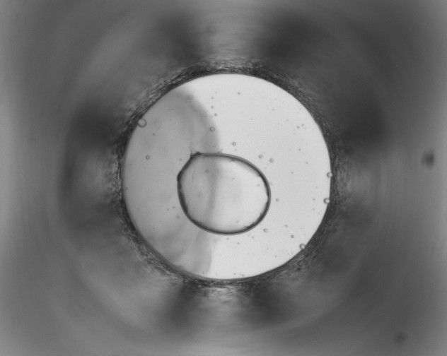 X0000115560411200911271501