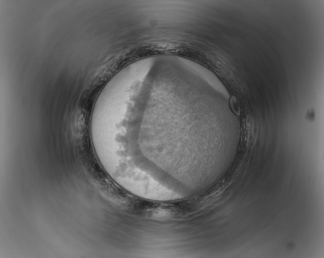 X0000115560412200911271501