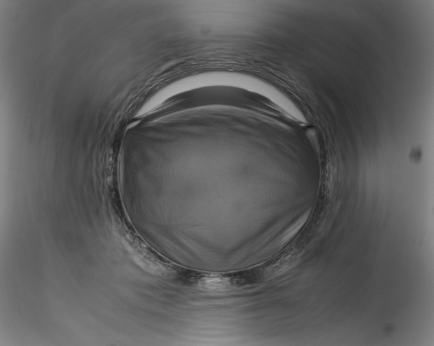 X0000115560413200911271501