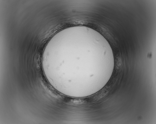 X0000115560414200911271501