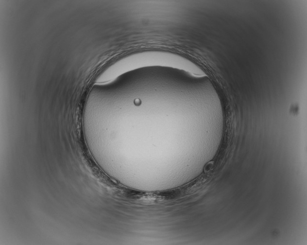 X0000115560415200911271501