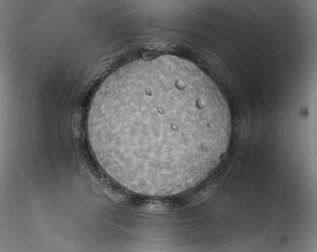 X0000115560416200911271501