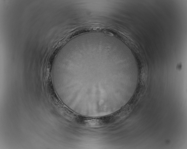 X0000115560417200911271501