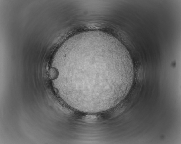 X0000115560418200911271501