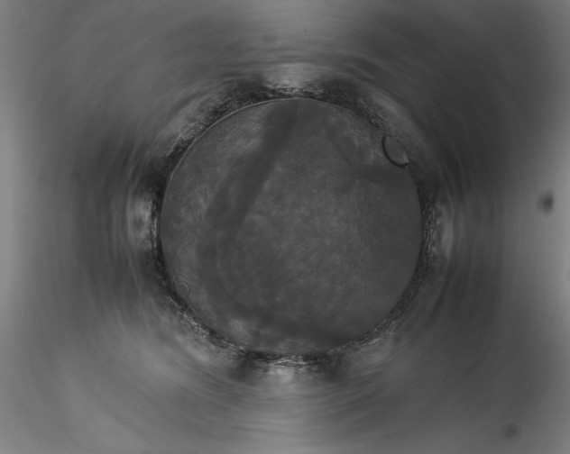 X0000115560420200911271501