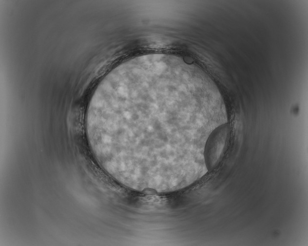 X0000115560421200911271501