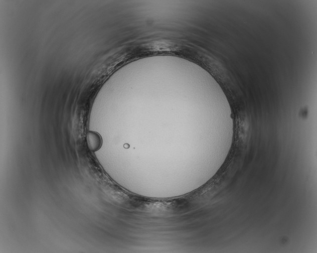 X0000115560422200911271501