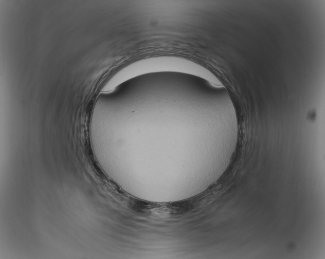 X0000115560423200911271501