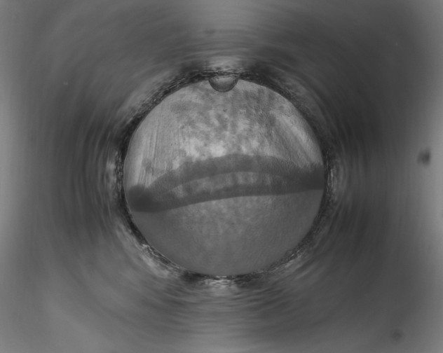 X0000115560424200911271501