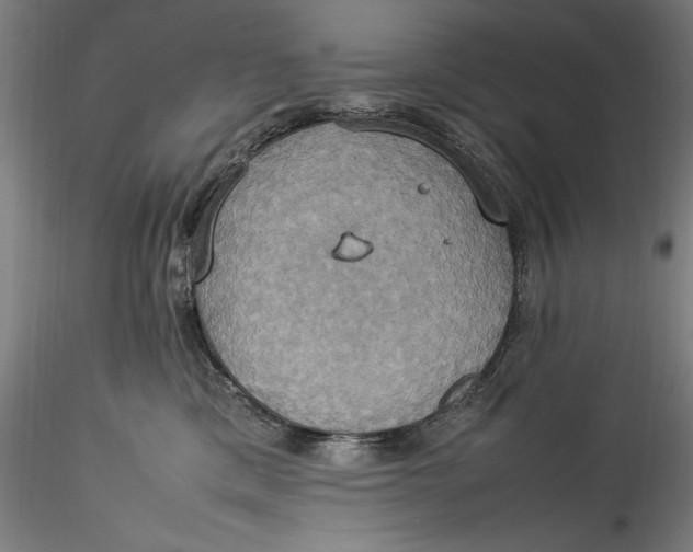 X0000115560425200911271501