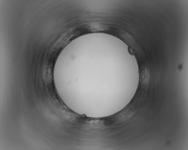 X0000115560426200911271501