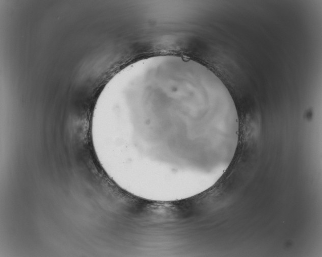 X0000115560427200911271501