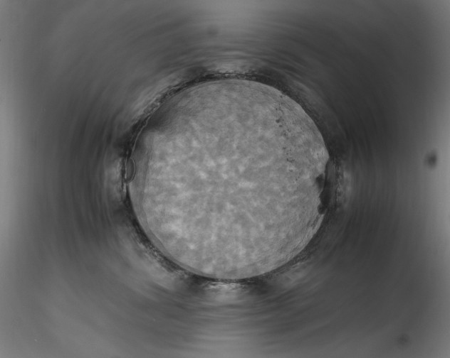 X0000115560428200911271501