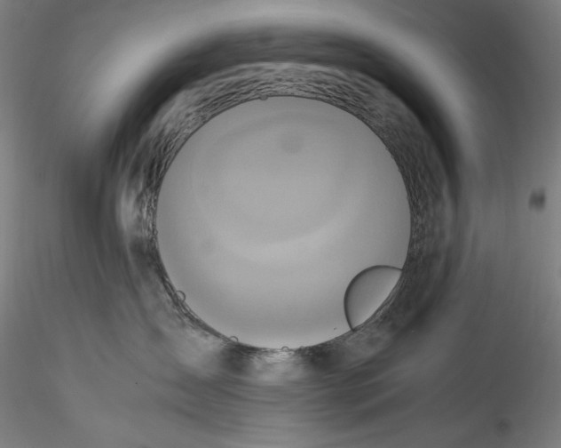 X0000115560431200911271501