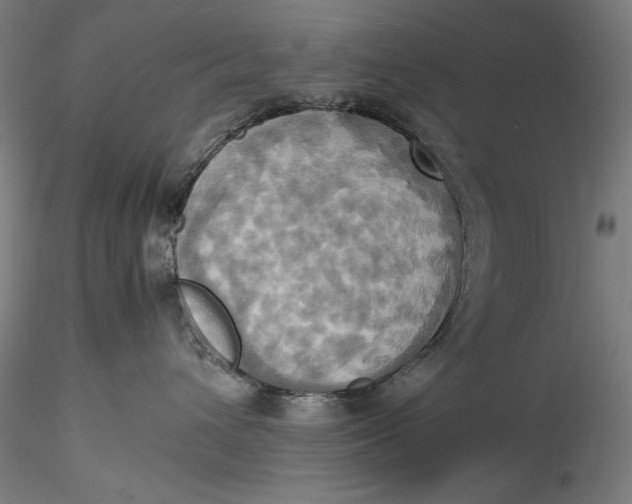 X0000115560432200911271501