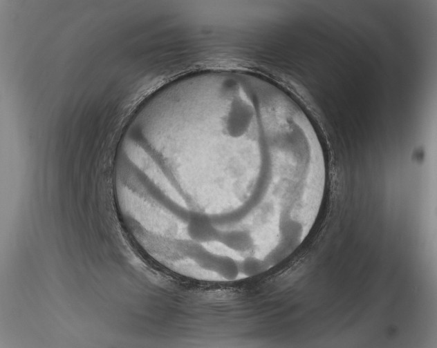 X0000115560433200911271500