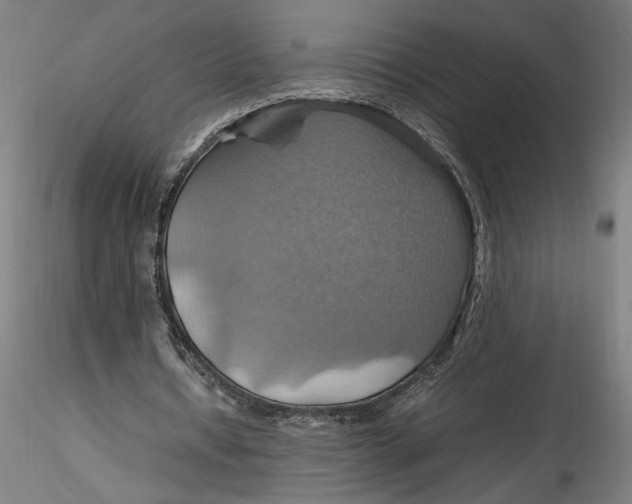 X0000115560434200911271500