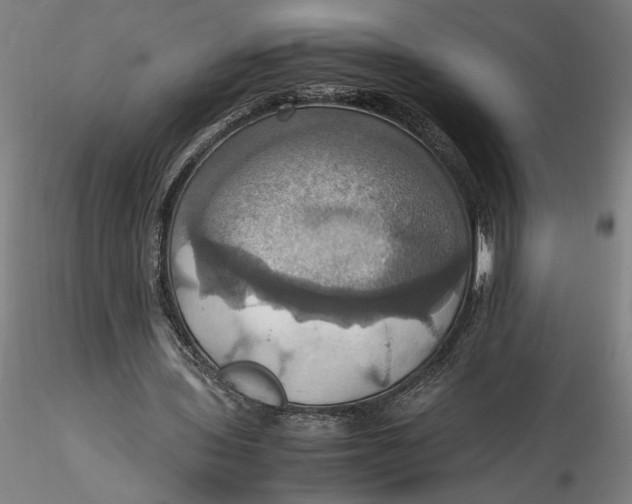 X0000115560435200911271500